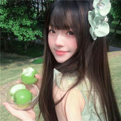 五台山儿女英雄传